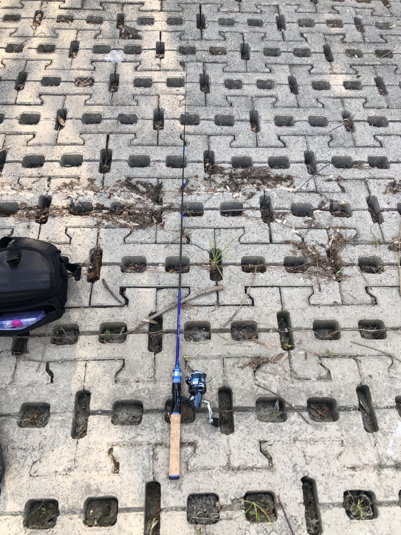 新路亚鱼竿到手要干嘛,新路亚竿子到手硬吗