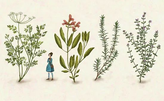 英国经典民谣大全,经典的英式民谣