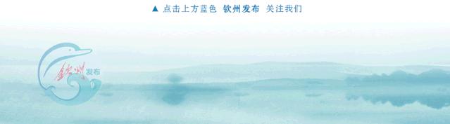 钦州市足球联赛高中组冠军,钦州市足球队