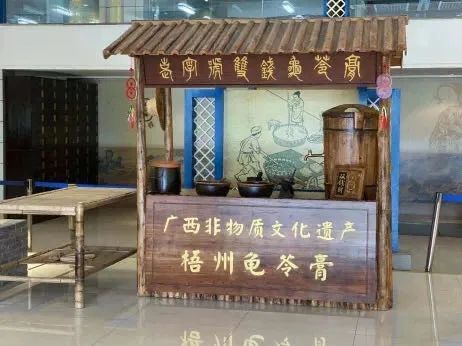 来梧州，体验岭南文化，吃遍大街小巷|“广西人游广西”精品自驾游路线