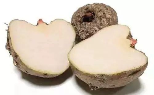 日本最好的一款泡沫洗面奶,日本最好用的洁面泡沫