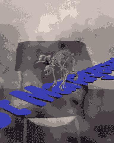 被刷屏的网红女孩,被霸屏的女孩