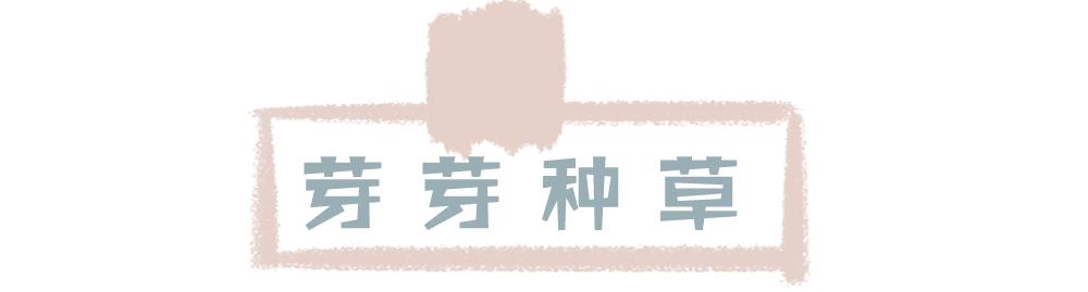 千万别喷廉价香水,千万别喷的香水