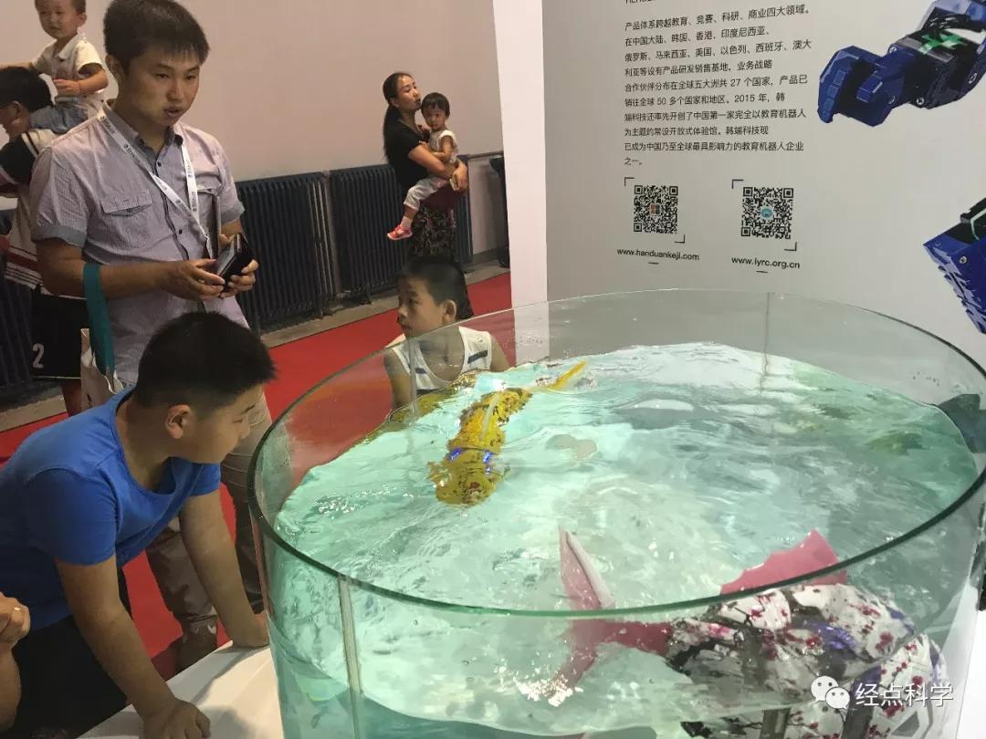 六岁孩子比较黏父母怎么办,孩子太粘父母怎么办