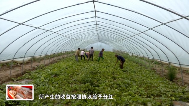 临渭区专项整治,渭南临渭阎村最新消息