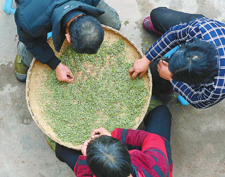 在上海建立首个省外营销推广中心川茶落“沪”如何分羹长三角