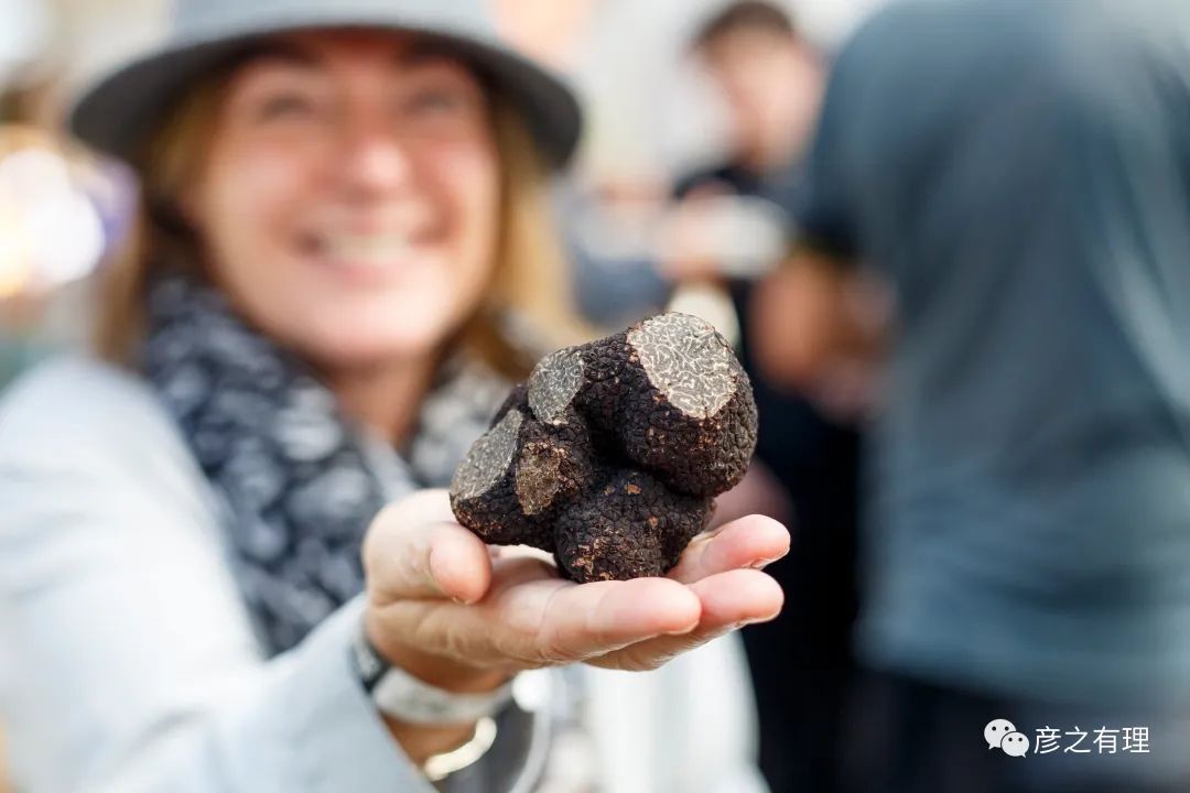 别看它长得像“粪球”，却是“黄金”配料，错过了要等一整年