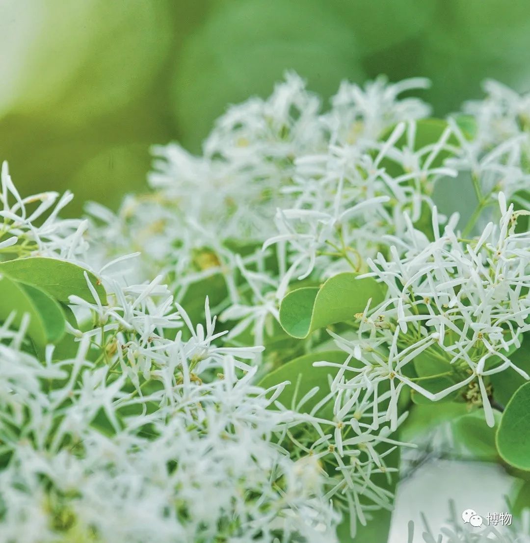 不孕不育到底是福报还是恶报,不孕不育的人后果