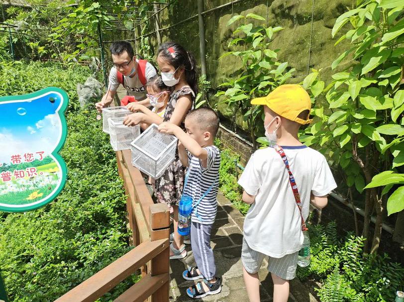 好玩的端午游活动,好玩的端午假期