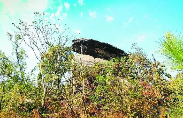 庐州石头传奇:“石公、石婆、石小姐”、“棋盘石”、“霸王石”……