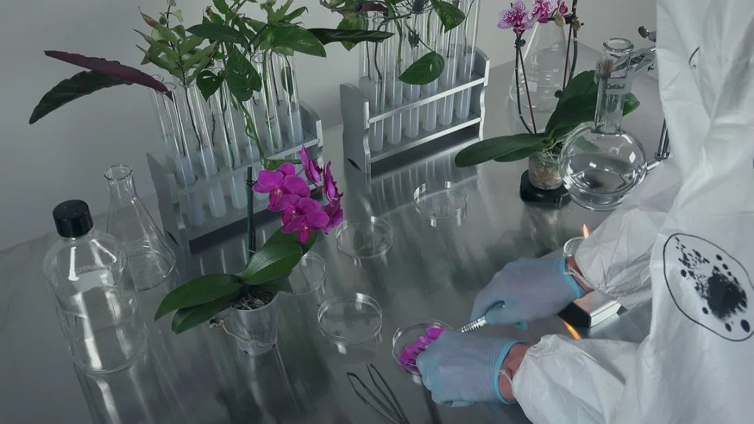 2022年对未来的自己有什么想说的,2020有没有什么对未来想说的