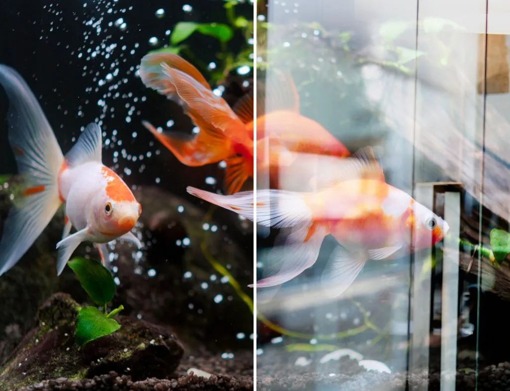 好物拍摄反光怎么处理,好物妙用高透玻璃杯