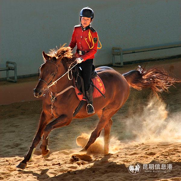 恒大养生谷昆明嘉丽泽规划,昆明嘉丽泽区养生谷