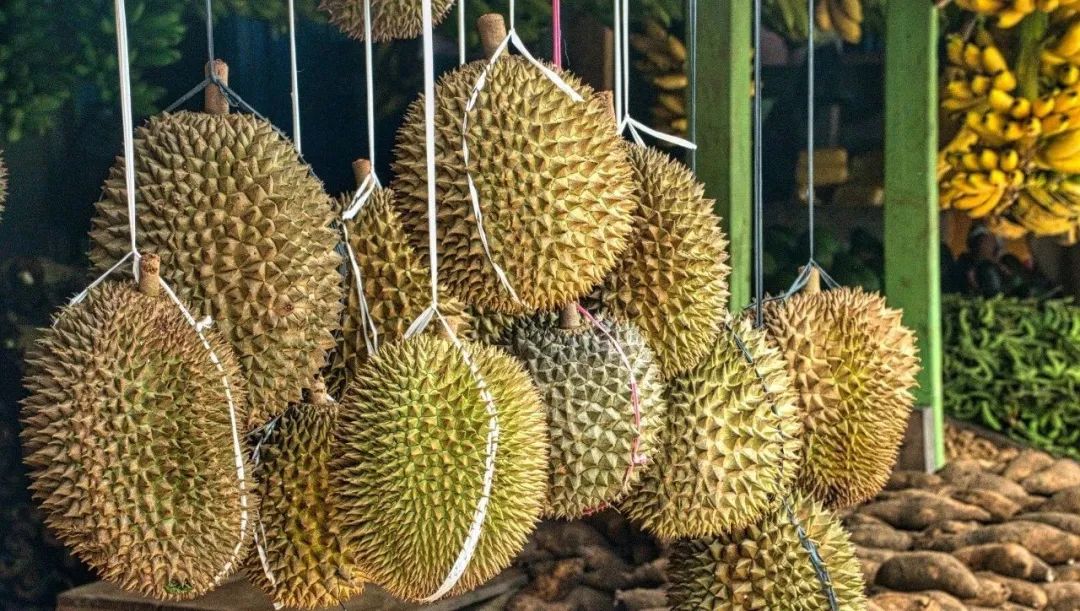 十种夏天吃多了会上火的水果,多吃水果不如吃对水果小常识