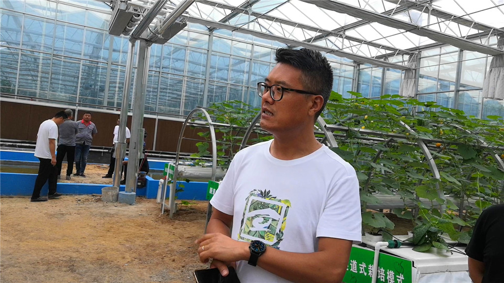 新手如何搞农业,外行人怎么做农业