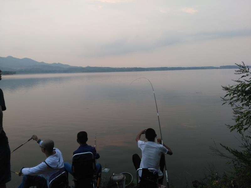 矶竿滑漂钓鱼效果如何,矶竿滑漂远投钓鲫鱼用什么饵