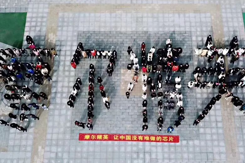 摩尔精英5周岁，谢谢你陪我一起成长