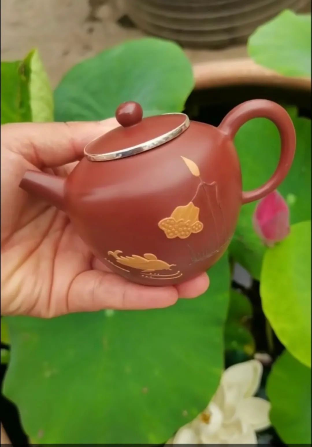 寿光市非遗项目名单,山东寿光非遗目录