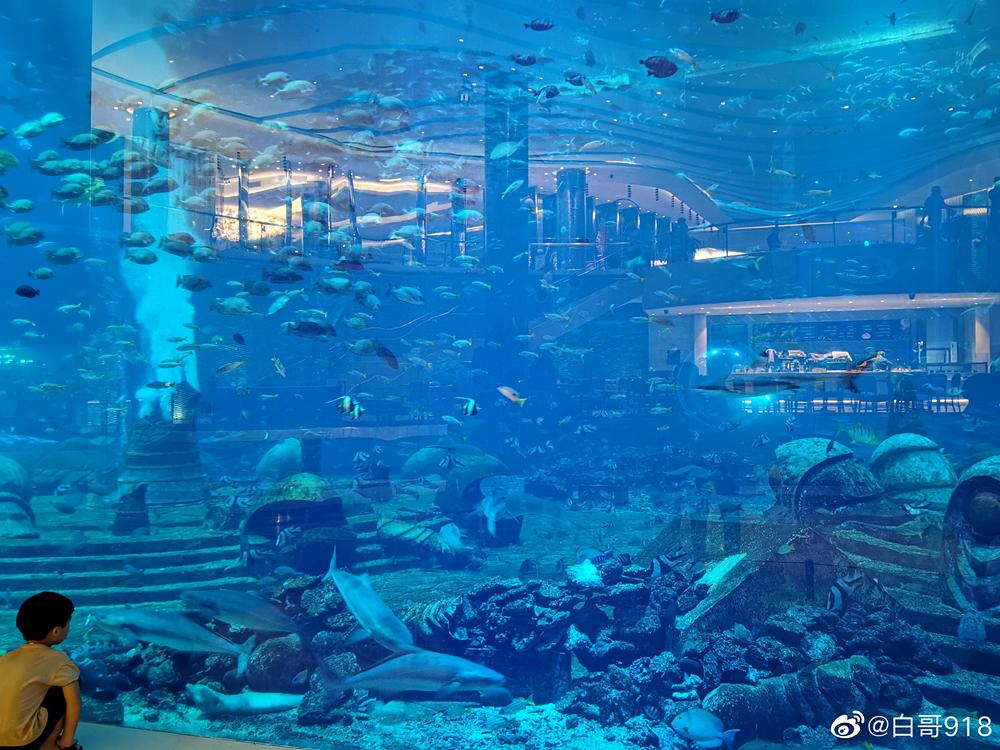 2000元飞机可容纳16人,2000块钱无限次飞海南