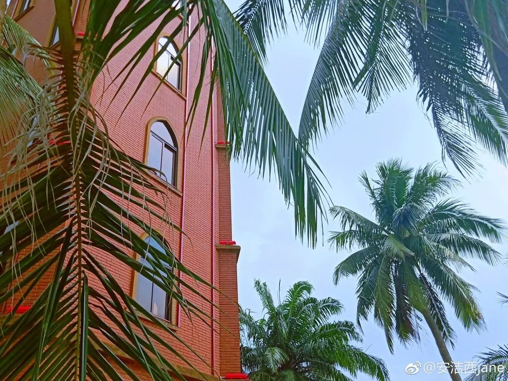 2000元飞机可容纳16人,2000块钱无限次飞海南