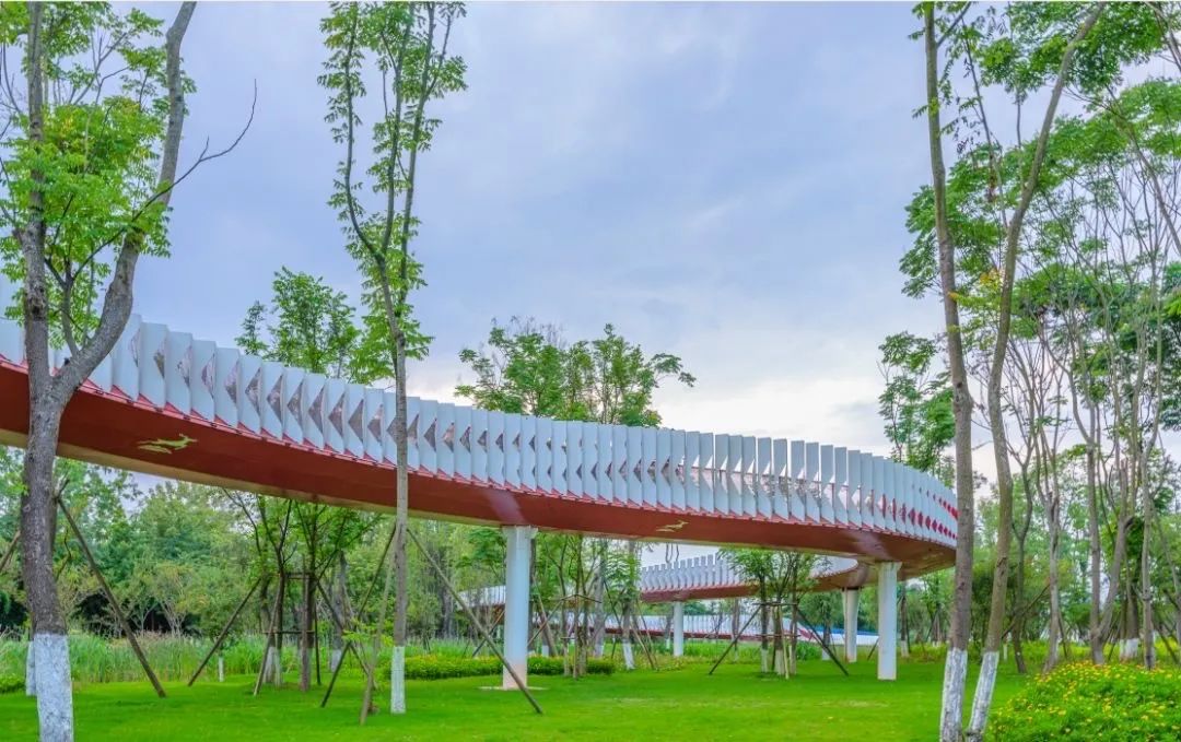 成都绿道潮玩地点推荐,成都绿道附近好玩的地方