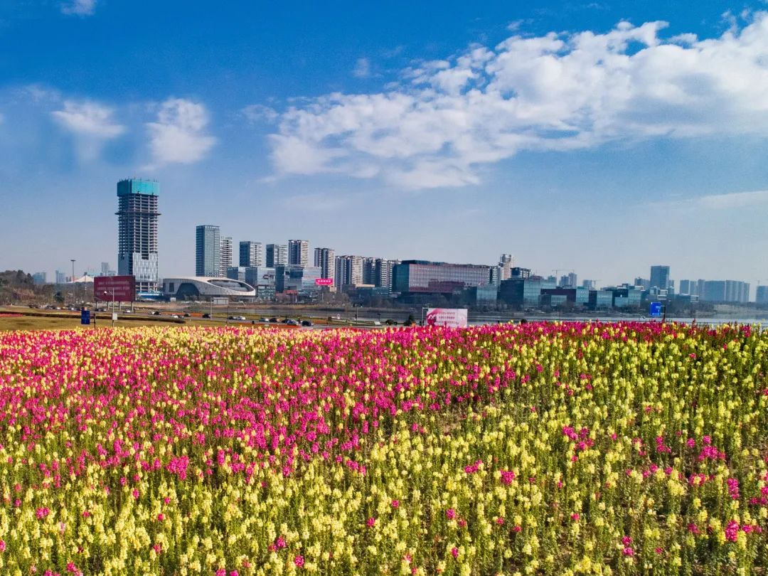 成都绿道潮玩地点推荐,成都绿道附近好玩的地方