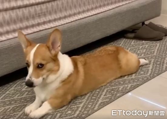 起床拉伸骨头咔咔响,起床拉筋运动