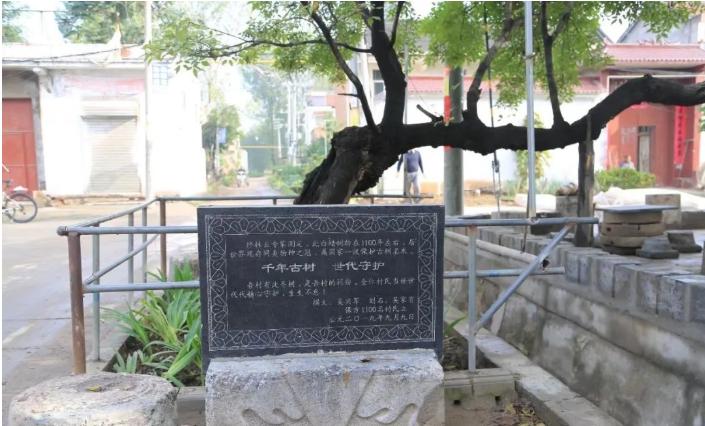 小城记忆朗诵,小城记忆邓丽君