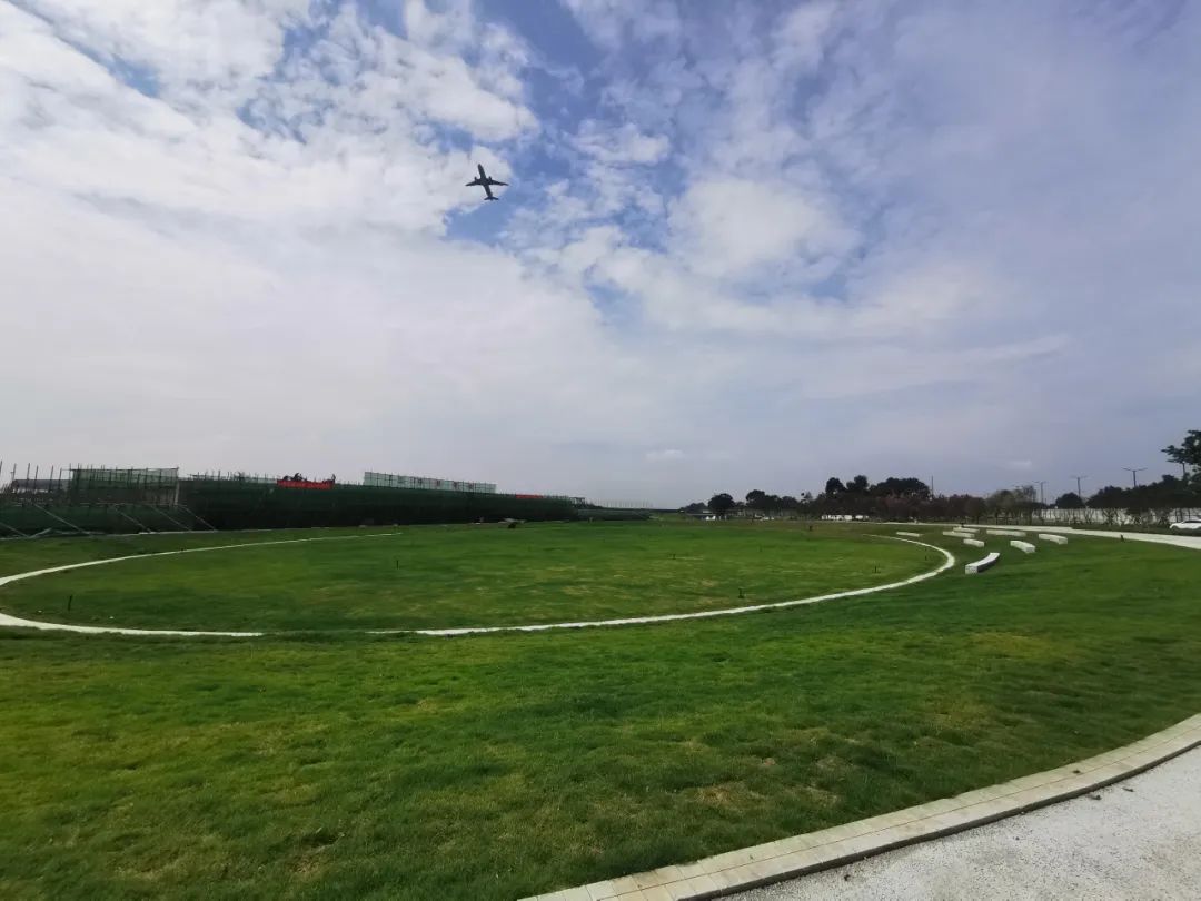 空港公园最新消息,空港体育公园篮球最新情况