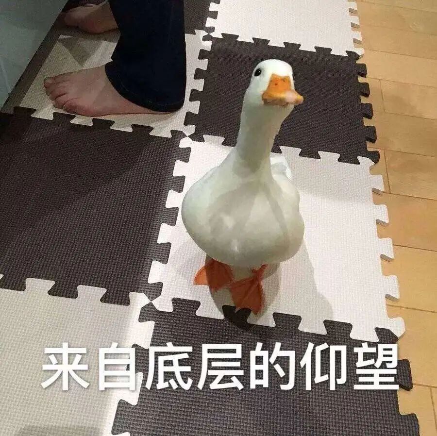 诺基亚当年赚了多少钱,诺基亚一年能挣多少钱