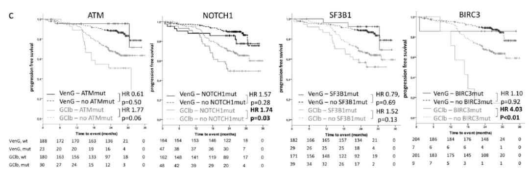 治疗cbl基因突变的靶向药,靶向及免疫治疗进展探讨