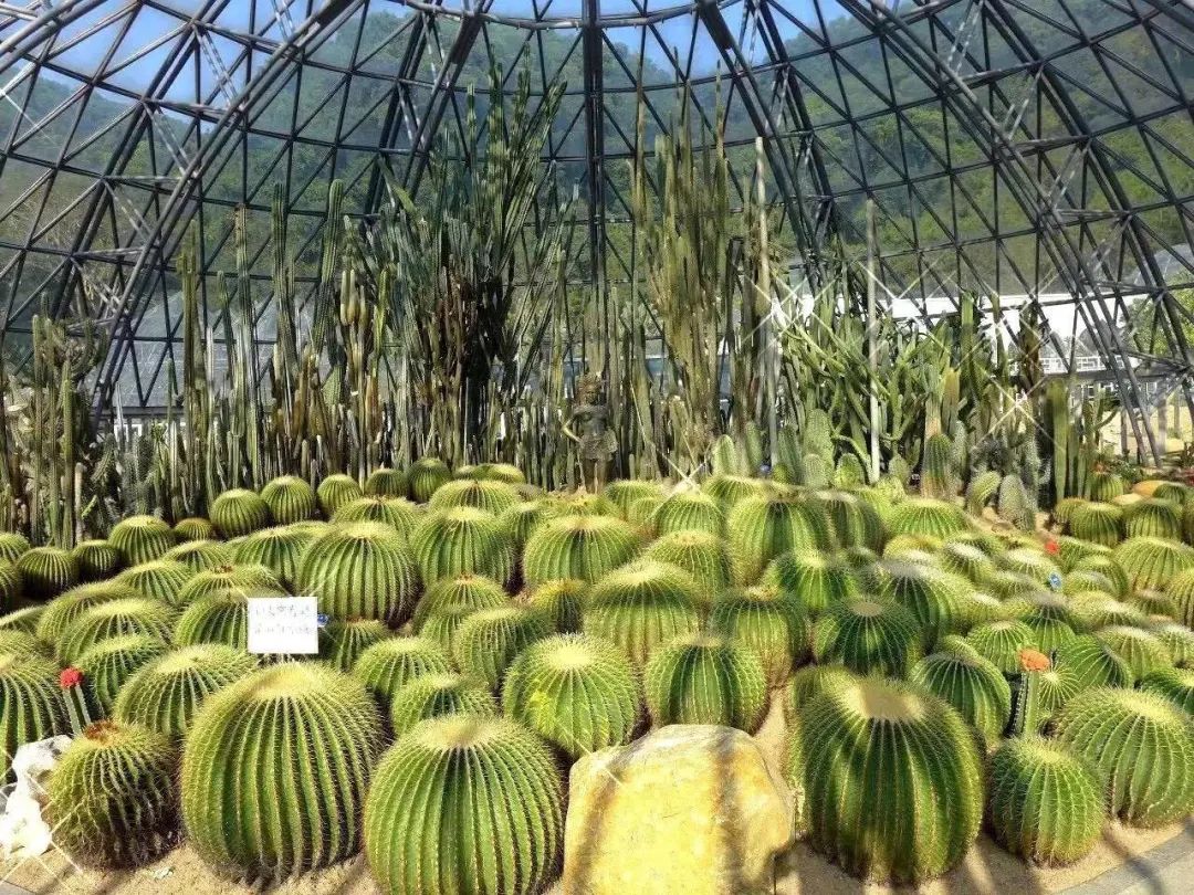 此生必打卡的宝藏旅行地,秋季小众宝藏旅行地