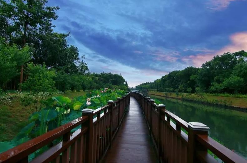 上海宝山：找准产业定位，寻求差异化发展，都市乡村振兴之路越走越宽