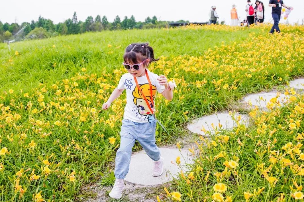 上海乡村振兴产业基地,上海宝山开发定位