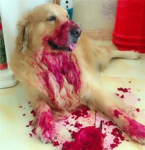 人喝醉之后到底有多搞笑,盘点喝醉的人有多搞笑