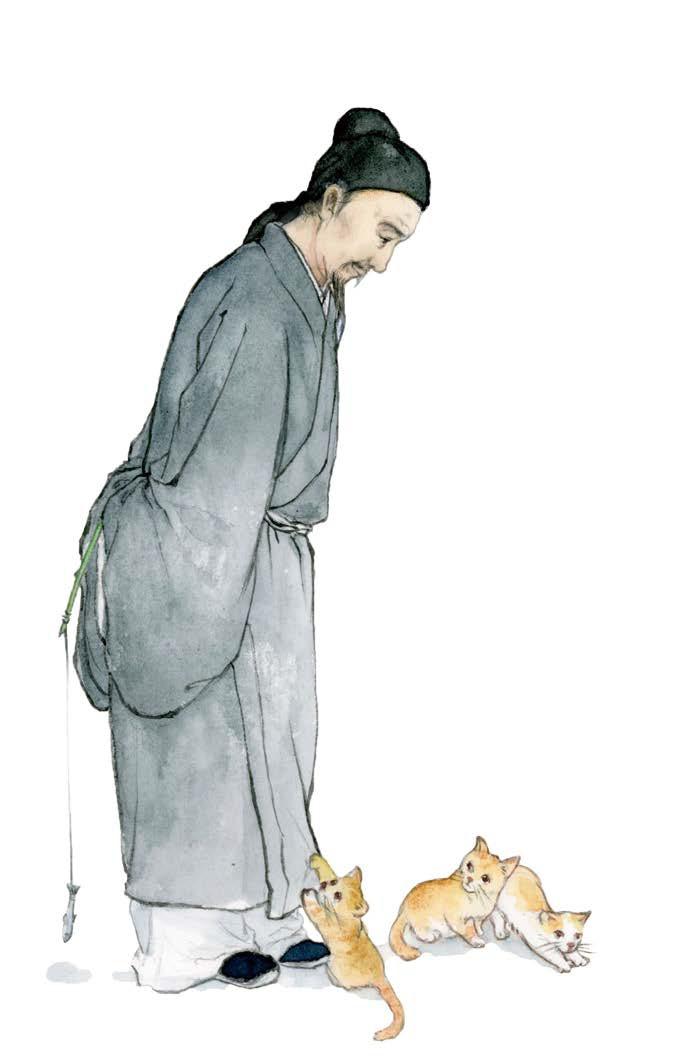 萌死人不偿命的猫,12生肖里为什么没有猫秒懂百科