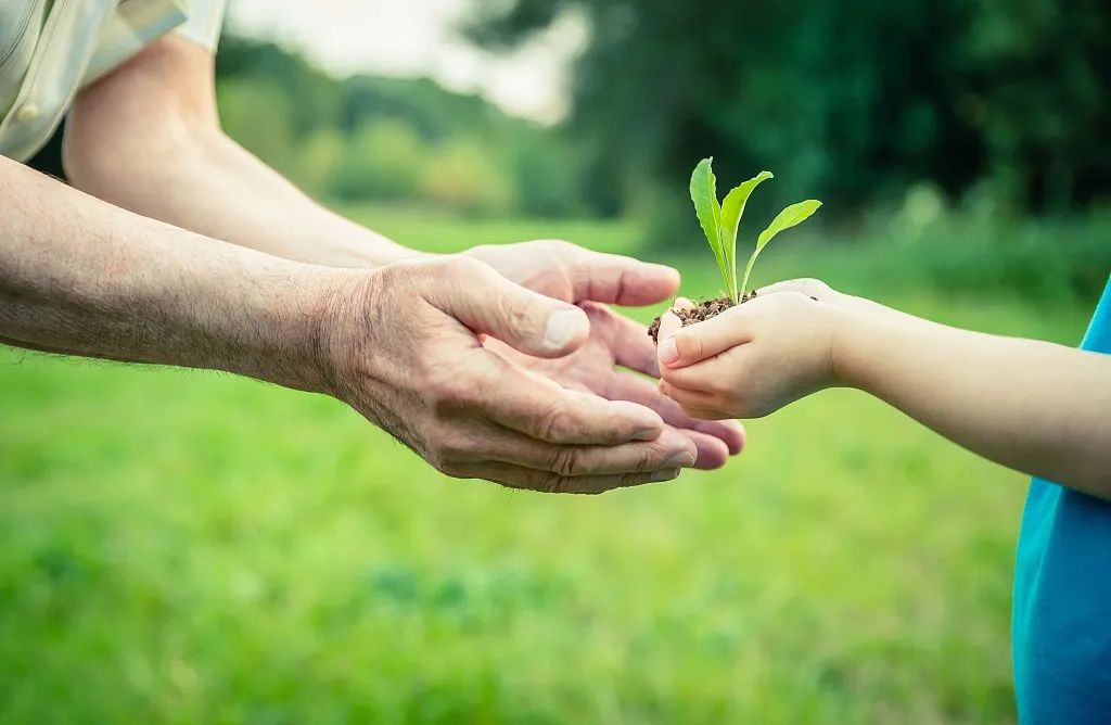 昆虫记法布尔是怎么观察昆虫的,适合儿童看的法布尔昆虫记