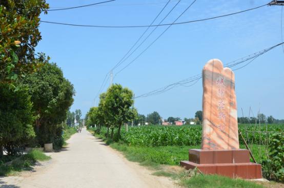 建功立业在乡村：记镇平县枣园镇城隍庙村第一书记徐建业