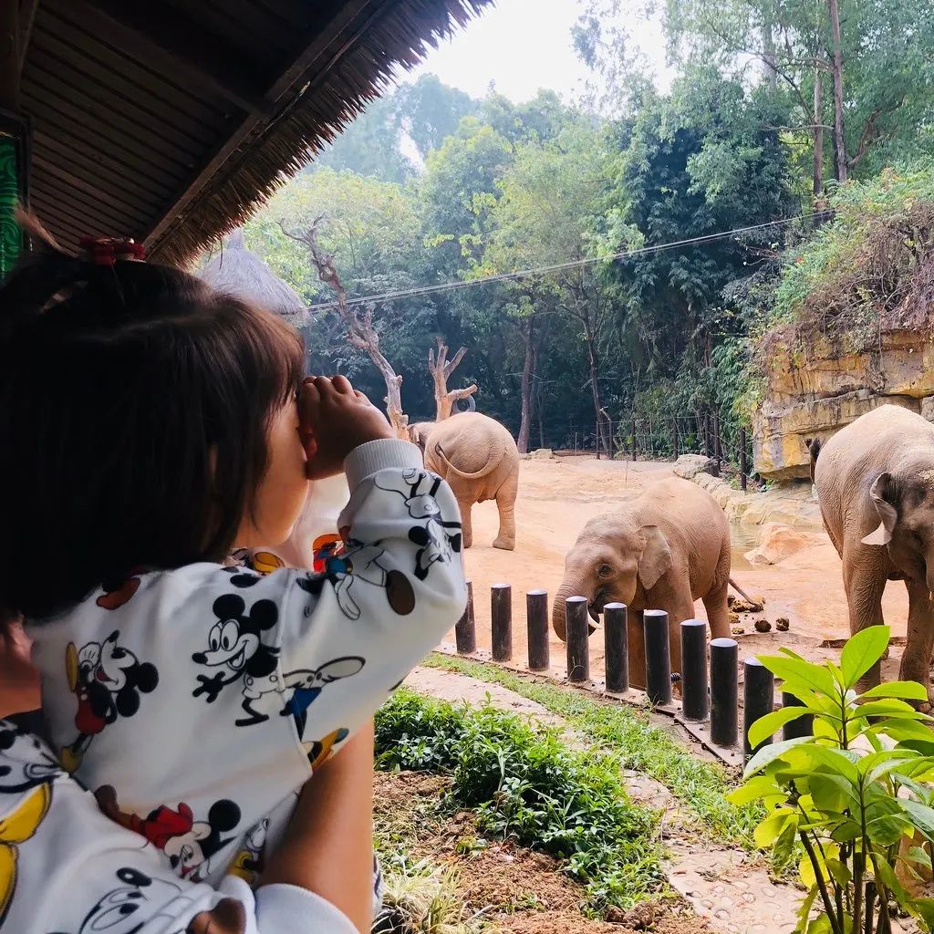 去动物园里散步才是正经事,逛动物园是件正经事表达什么