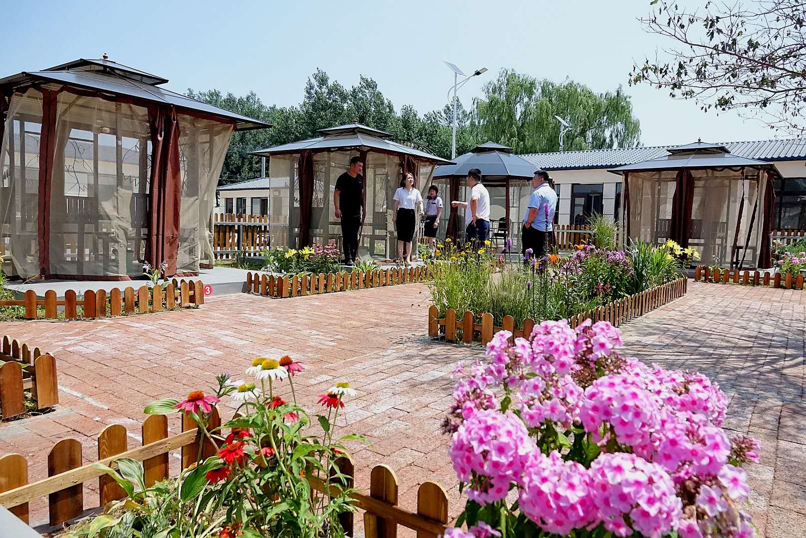 百花绽放风景秀丽,花田小镇风景区