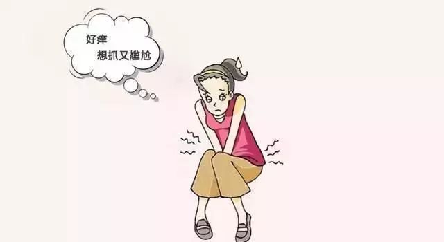 过不完的梅雨季，“干不掉”的霉菌