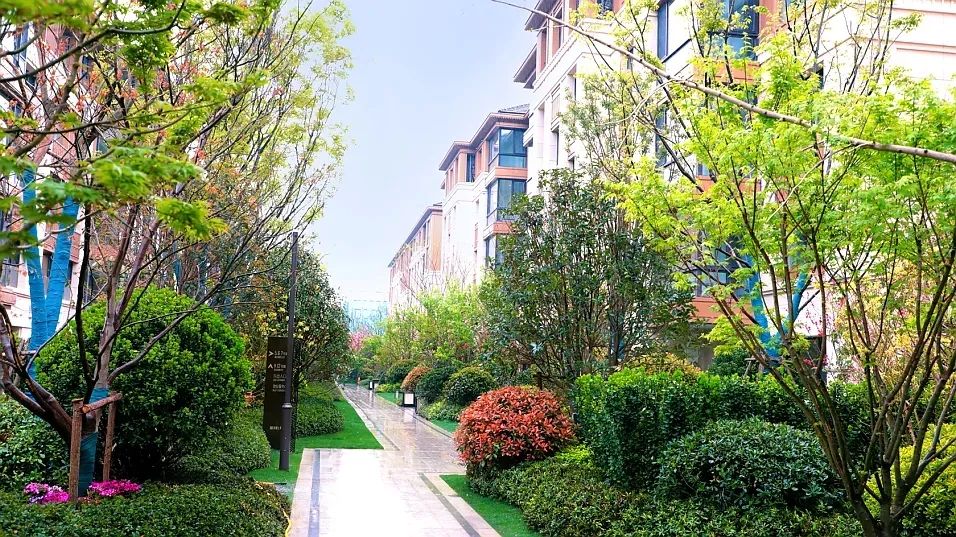 河南本土地产和一线房企选谁,河南房企销售额排行榜