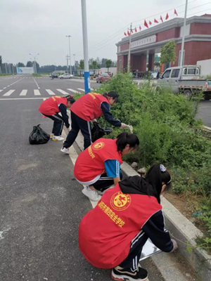 美化环境志愿者服务活动,美化环境志愿者先行