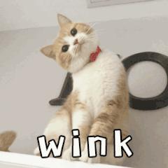 电信5g黄金会员有哪些套餐,电信5g黄金会员专享权益领取方法