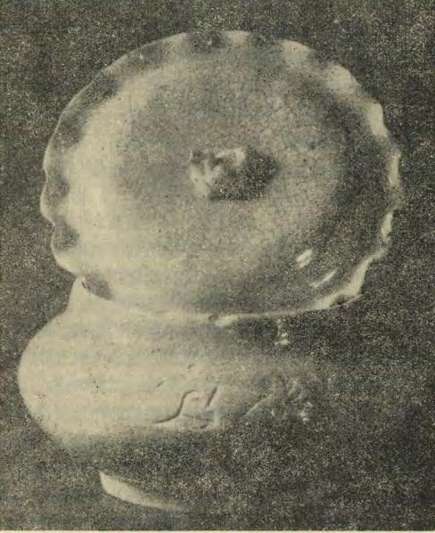 新安号元代沉船瓷器,新安瓷器沉船