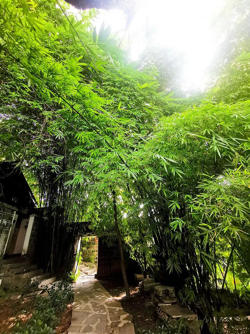 染了彼此乡愁，从此长途跋涉