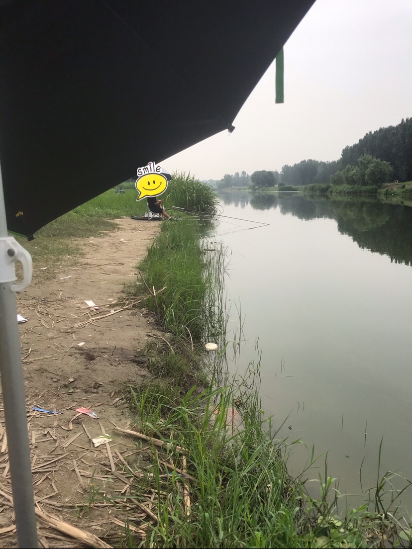 晨钓的收获还是不错的,温榆河钓鱼