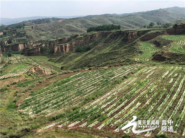 山西变身记,山西煤炭变身记