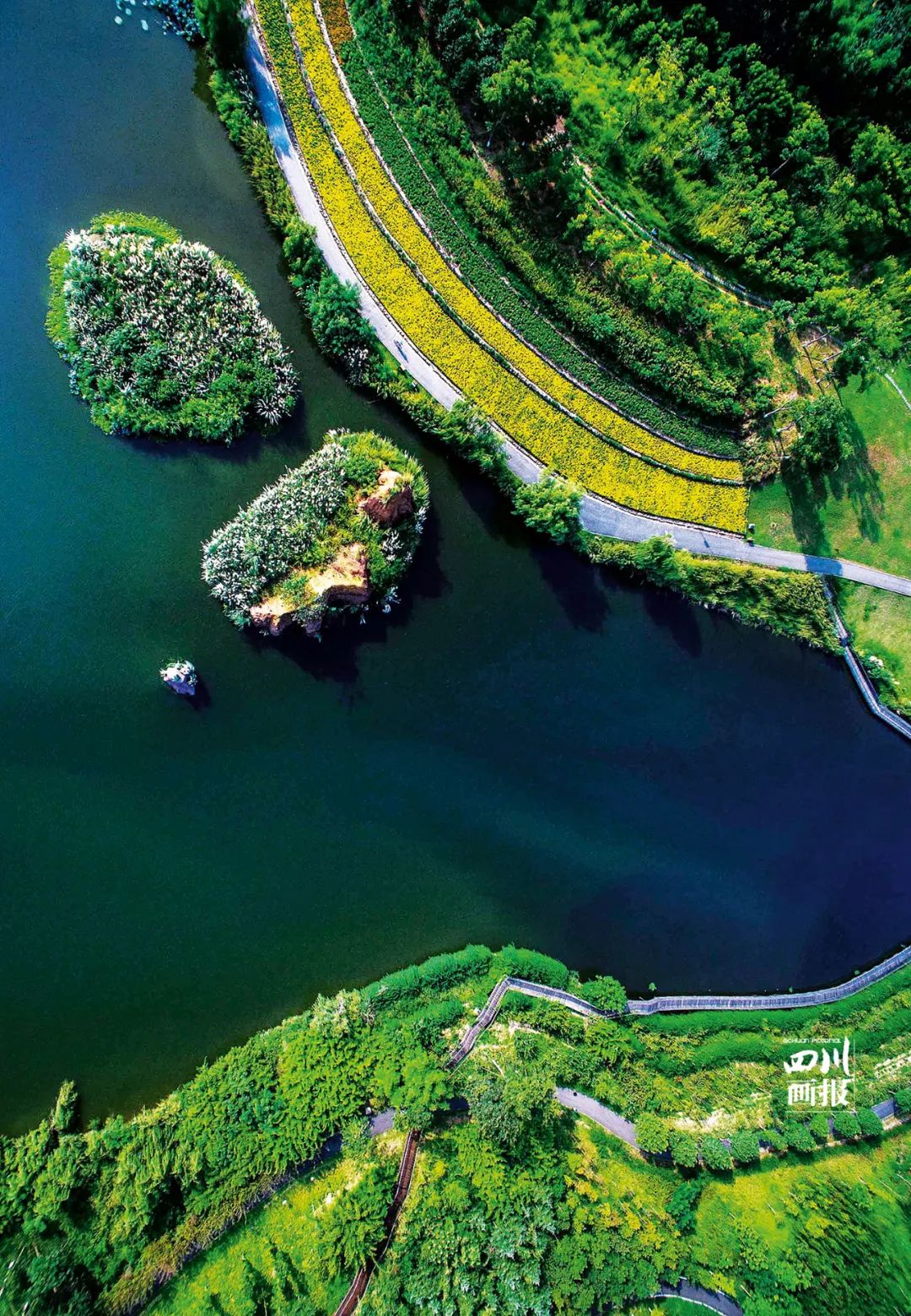 四川成都绿道视频,四川有哪几个绿道