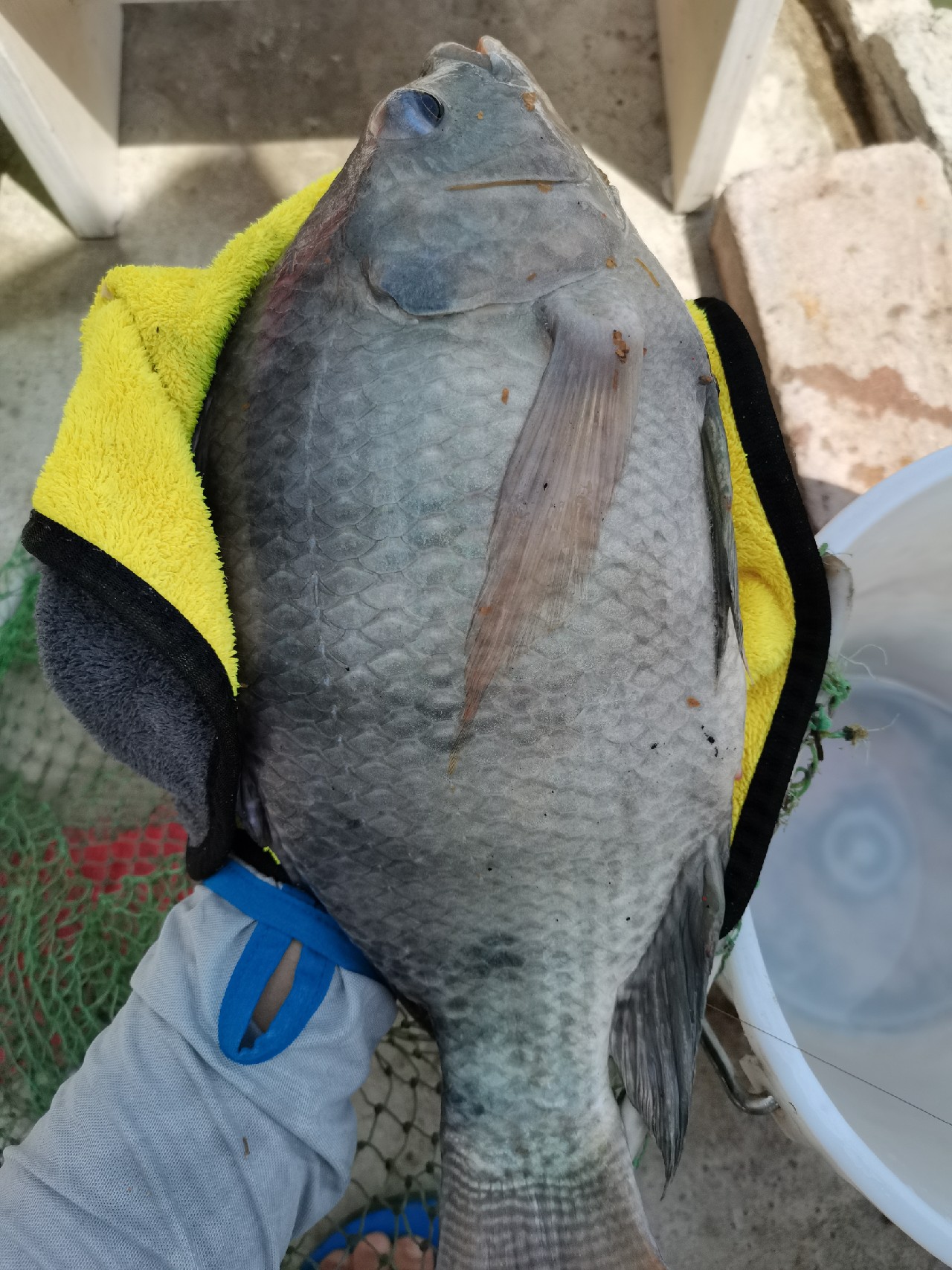手持两米七神戟，瞎搞高田坑一天